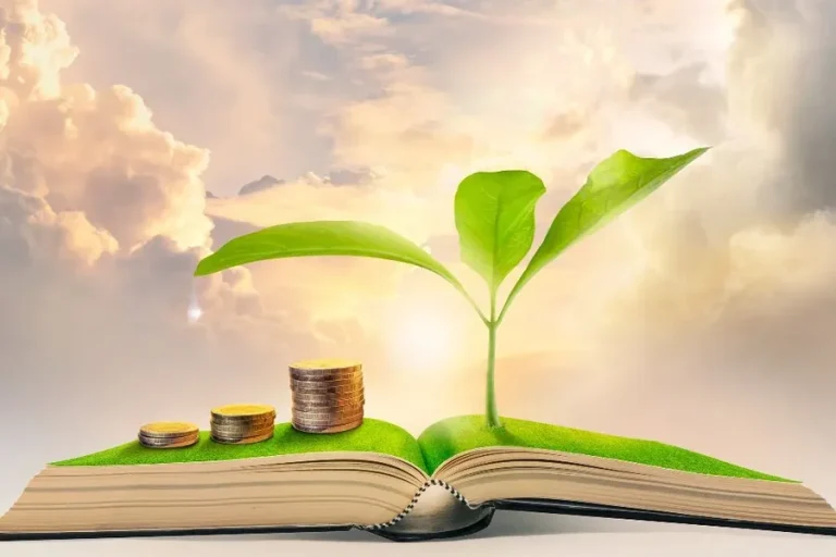 Business Success Guide