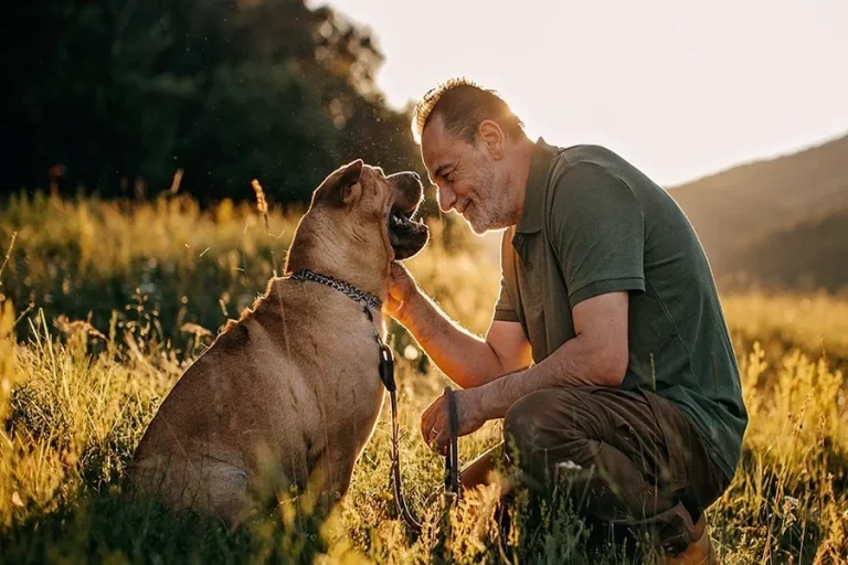 How to Keep Your Dog Healthy Naturally: Simple Tips How to keep your dog healthy naturally