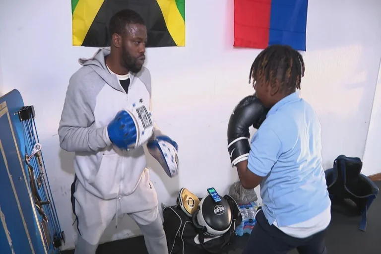 The Complete Guide to Coordinating Island Living With Boxing Program for Sightseer Boxing Program